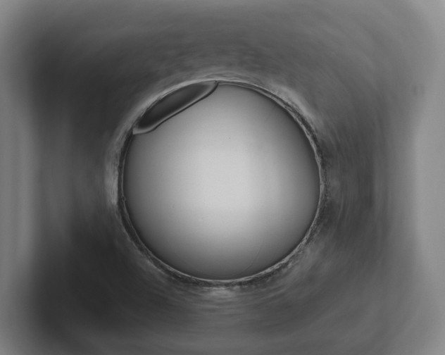 X0000102811504200808180942