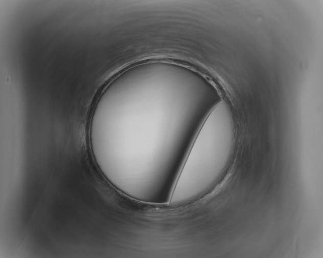 X0000102811505200808180942