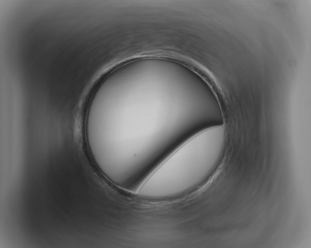 X0000102811506200808180942