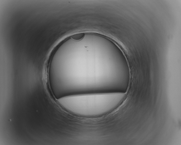 X0000102811510200808180942