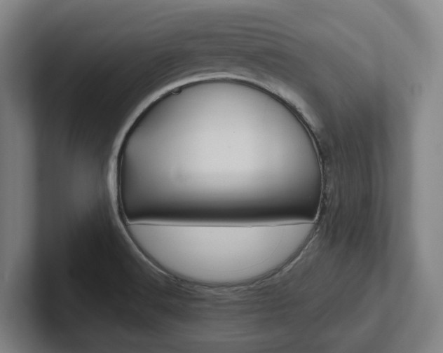 X0000102811516200808180942