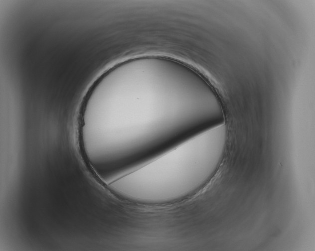 X0000102811518200808180942