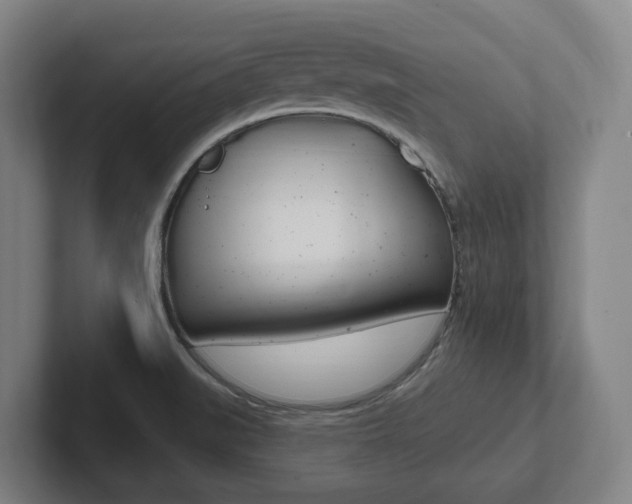 X0000102811519200808180942