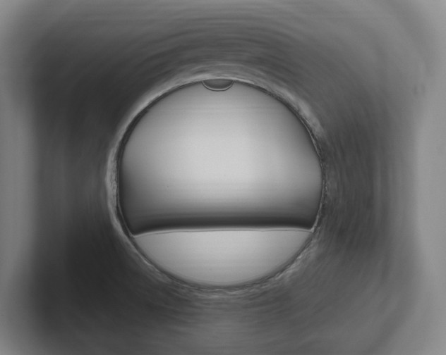 X0000102811522200808180942