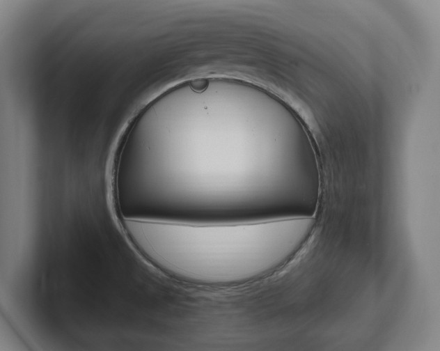 X0000102811525200808180942