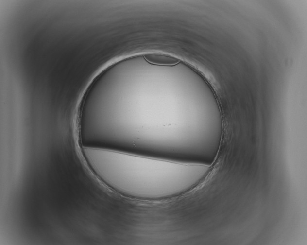 X0000102811526200808180942