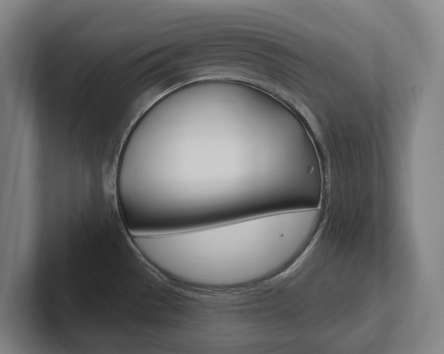 X0000102811529200808180943
