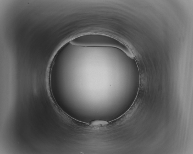 X0000102811530200808180943