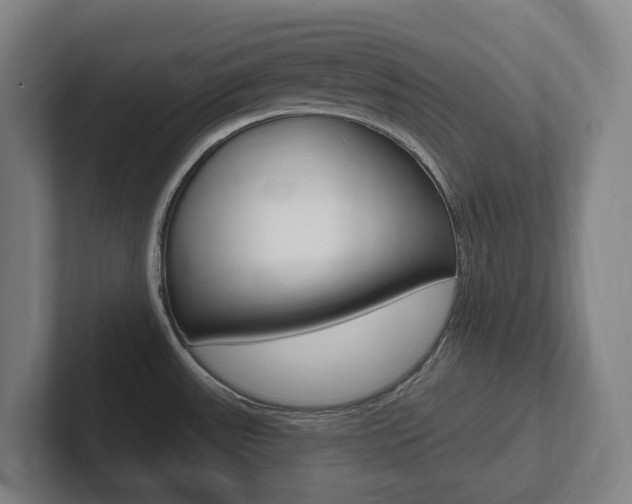 X0000102811531200808180943