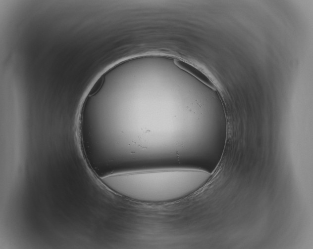 X0000102811532200808180943
