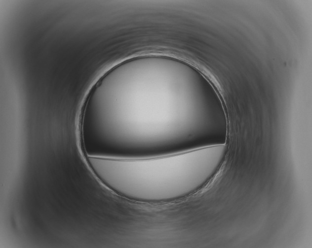 X0000102811533200808180943