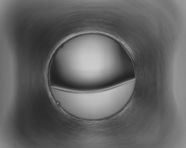X0000102811534200808180943