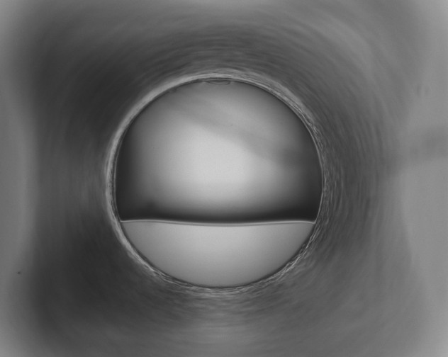 X0000102811536200808180943