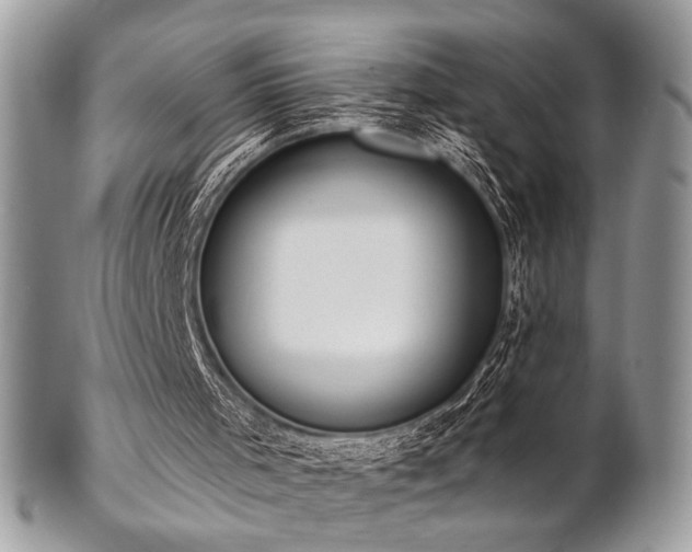 X0000102810001200808181234