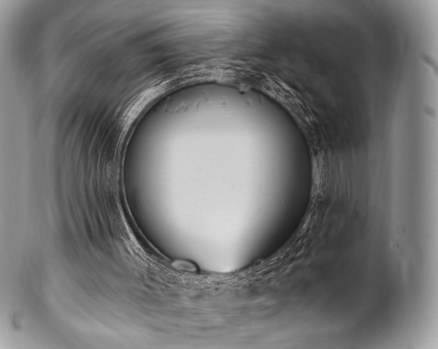 X0000102810003200808181234