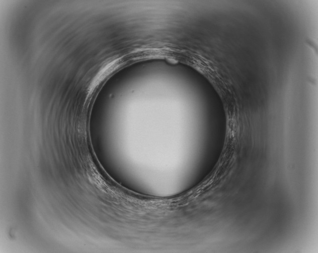 X0000102810004200808181234