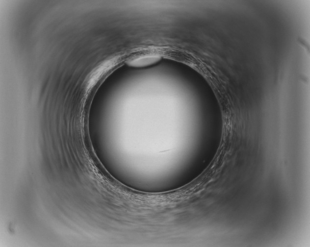 X0000102810006200808181234