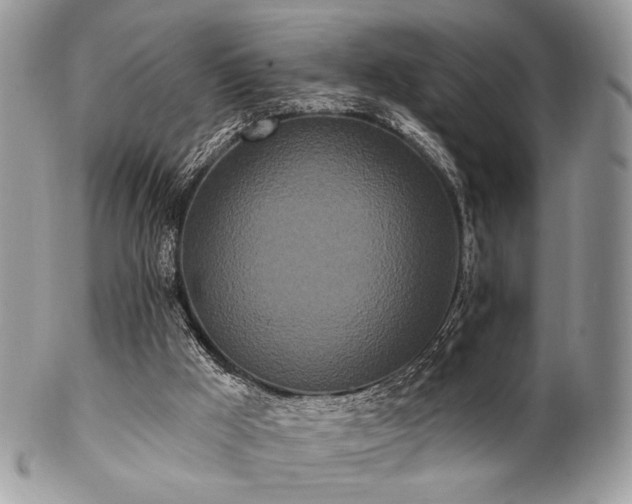 X0000102810009200808181234