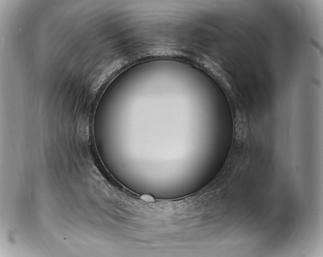 X0000102810015200808181234