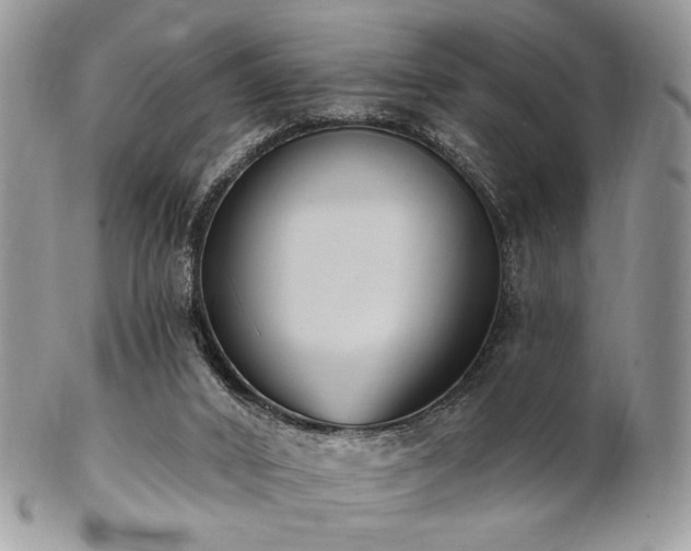 X0000102810016200808181234