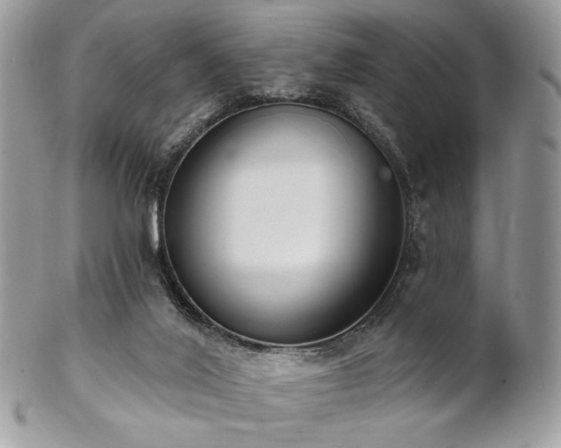 X0000102810020200808181233