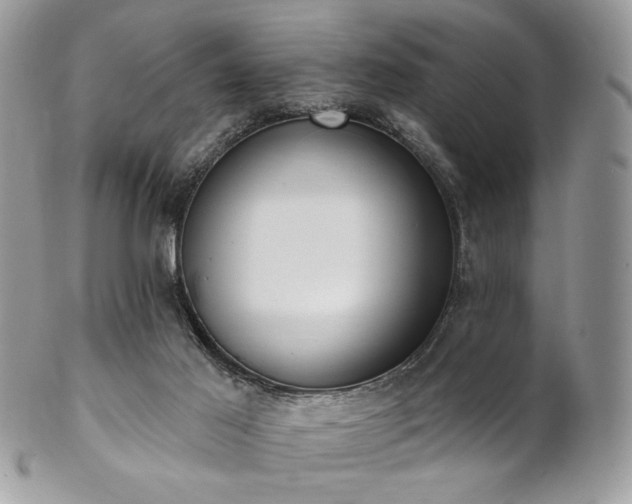 X0000102810021200808181233