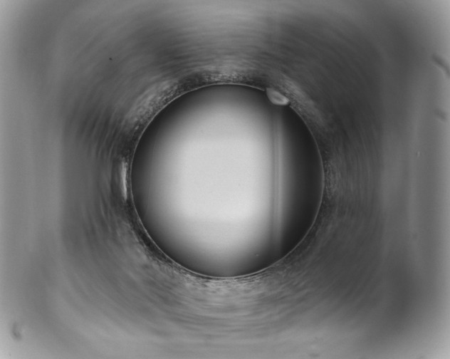 X0000102810022200808181233