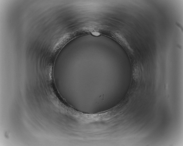 X0000102810023200808181233