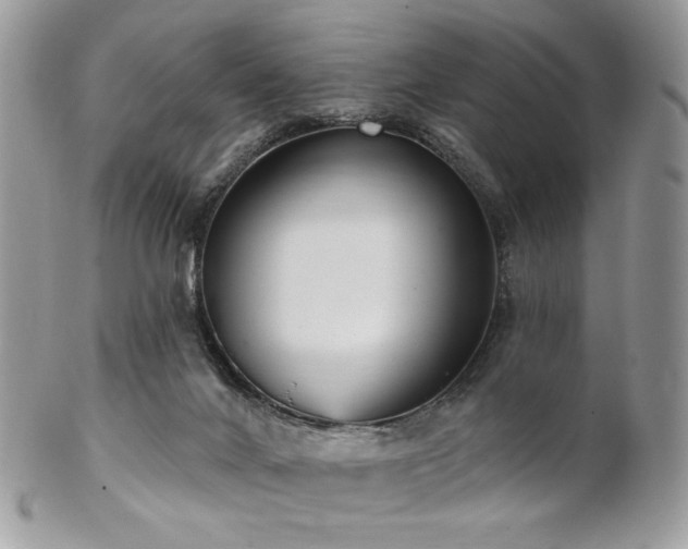 X0000102810024200808181233