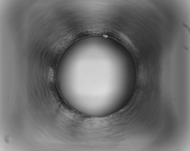 X0000102810025200808181233