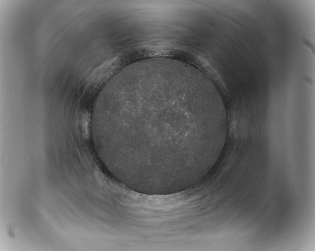 X0000102810026200808181233