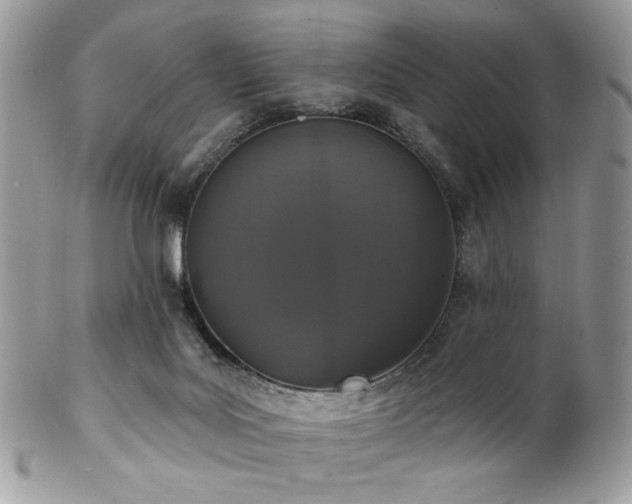 X0000102810027200808181233