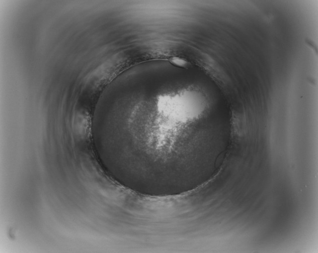 X0000102810029200808181233