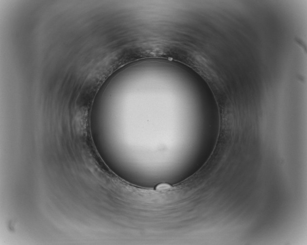 X0000102810030200808181233