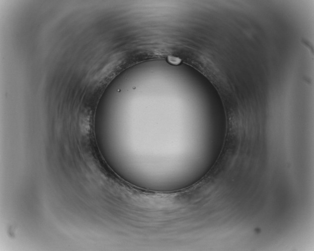 X0000102810032200808181233