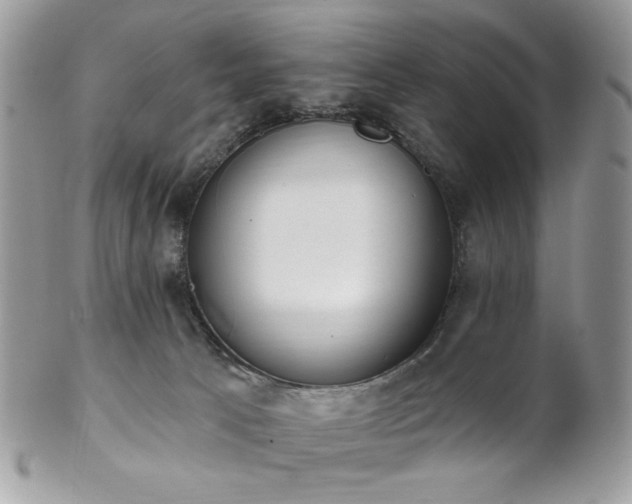 X0000102810033200808181233