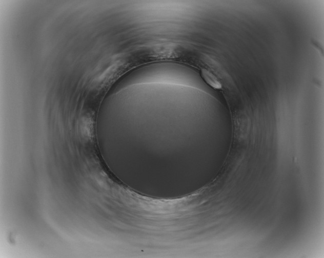 X0000102810035200808181233