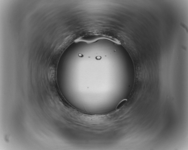 X0000102810036200808181233