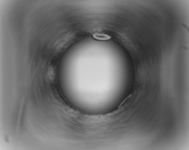 X0000102810037200808181233