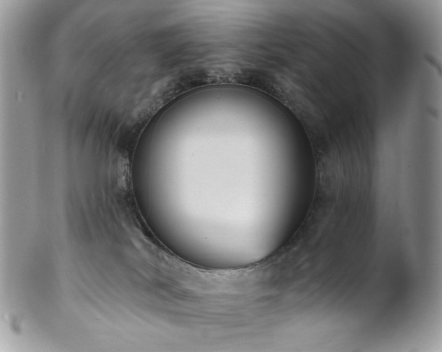 X0000102810038200808181233