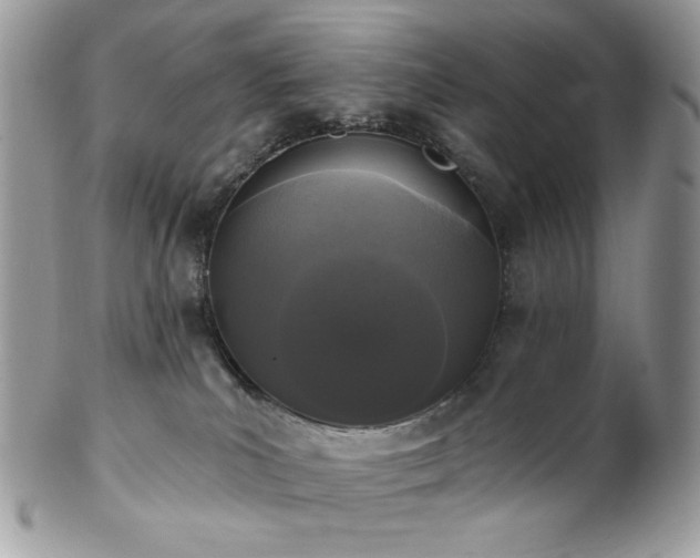 X0000102810039200808181233