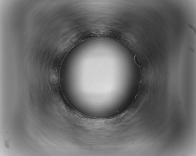 X0000102810040200808181233