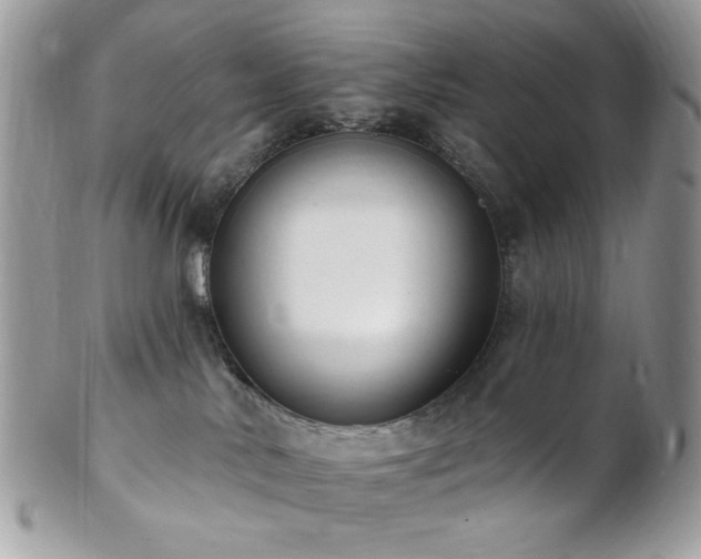 X0000102810042200808181233