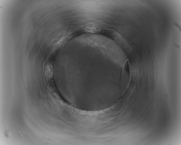 X0000102810043200808181233