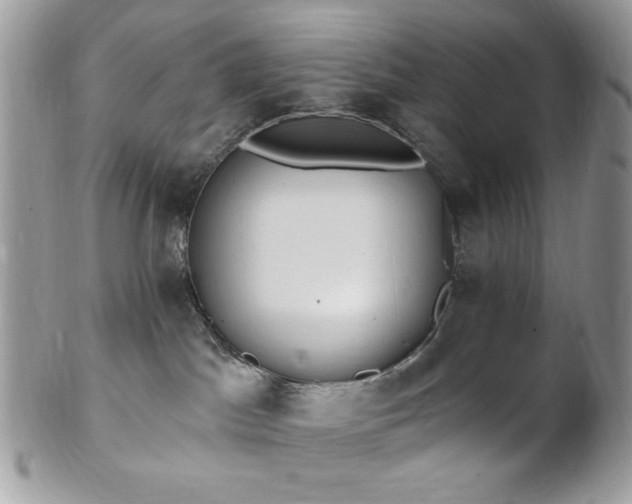 X0000102810045200808181233