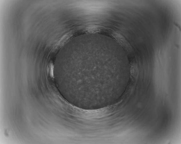 X0000102810046200808181233