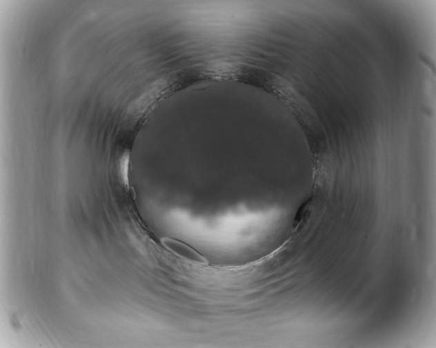 X0000102810047200808181233