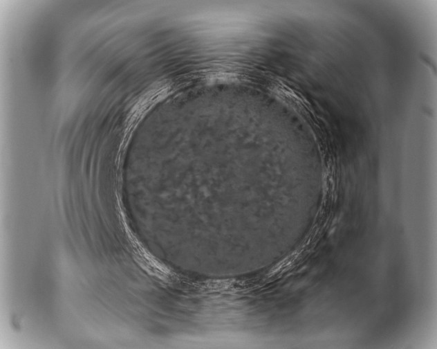 X0000102810049200808181232