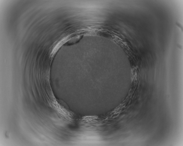 X0000102810051200808181232