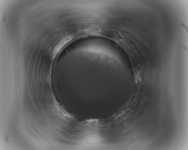 X0000102810052200808181232